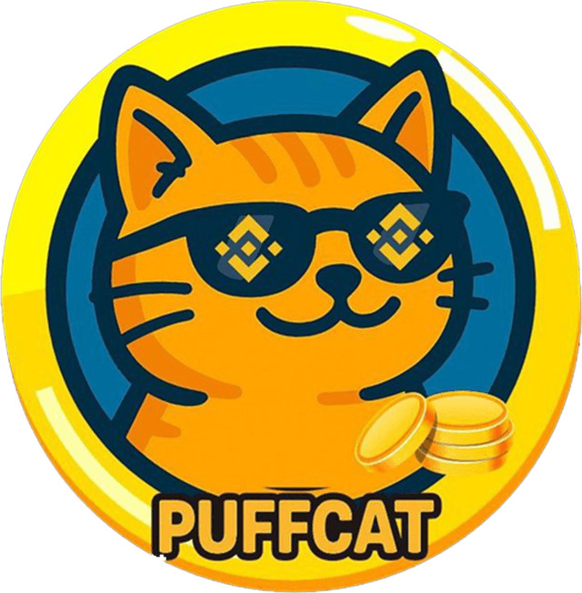 PuffCat Fairness